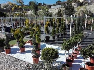 NUOVO VIVAIO con moltissime varietà di fiori e piante , EBF di Botti Edoardo EBF di Botti Edoardo Classic style garden
