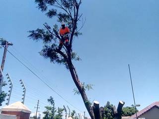 industri oleh Tree Felling Group, Industrial