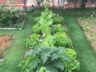 telhado verde horta na laje , Telhado Verde e Jardim Vertical SP Telhado Verde e Jardim Vertical SP Gewerbeflächen