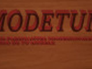 MODETUM somos fabricantes profesionales al modelo de tu mueble , MODETUM MODETUM 상업공간 엔지니어드 우드 투명