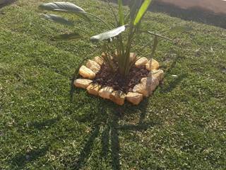 Diseño y construcción de jardín en Taxco, Guerrero , VIVERO LA FLOR DE MORELOS VIVERO LA FLOR DE MORELOS فناء أمامي