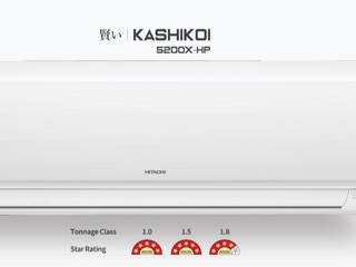 Kashikoi 5200X HP, Johnson Controls-Hitachi Air Conditioning India Limited Johnson Controls-Hitachi Air Conditioning India Limited Interior garden