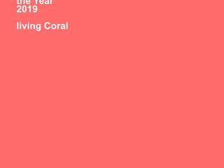 Estudio Coral, Pragma - Diseño Pragma - Diseño Offices & stores Pink