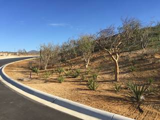 Maravilla Los Cabos, JSF de México Landscaping JSF de México Landscaping Коммерческие помещения