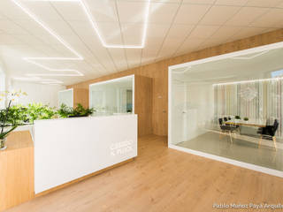 Offices Casado & Pujol, Pablo Muñoz Payá Arquitectos Pablo Muñoz Payá Arquitectos Commercial spaces Wood Wood effect