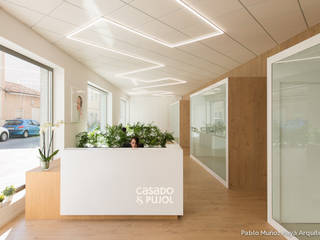 Offices Casado & Pujol, Pablo Muñoz Payá Arquitectos Pablo Muñoz Payá Arquitectos مساحات تجارية