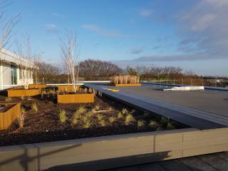 Dachterrasse mit Begrünung und Pflanzbeeten, Zimmerei Nehls Zimmerei Nehls Roof terrace