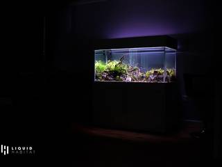 550L Freshwater Planted Aquarium Installation, Liquid Habitat Liquid Habitat Living room