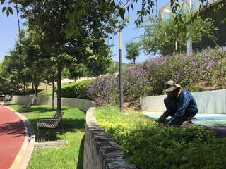 Mantenimiento de Jardines, Podarbol Podarbol