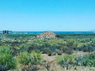 Terrenos en venta en playa Los Algodones, San Carlos, Sonora, TerrenosSonora TerrenosSonora