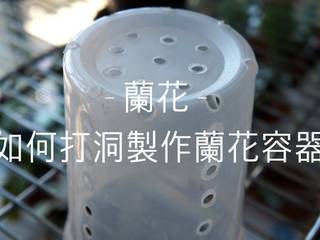 蘭花—如何製做蘭花容器？打洞DIY教學 | 蘭花種植 | #Orchid｜#Orchids, OrchidLoveATX - 新手? 如何成為蘭花達人! OrchidLoveATX - 新手? 如何成為蘭花達人!