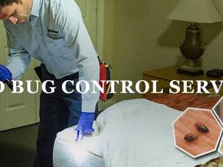 Pest Control Services in Bangalore, techsquadteam techsquadteam