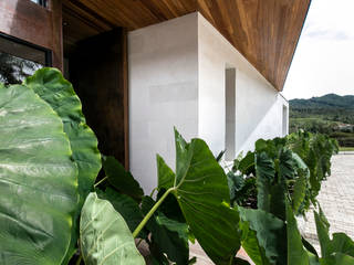 CASA ENTREMUROS, BASSICO ARQUITECTOS BASSICO ARQUITECTOS Flat roof Wood Wood effect