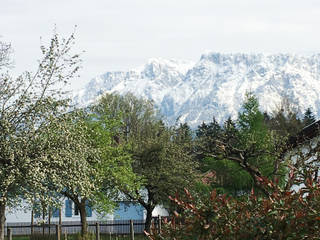 Umbau eines Einfamilienhauses, STUDIOVANESSA STUDIOVANESSA Front yard