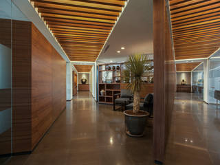 IFM Fondo México, TALLER GRADO 13 ARQUITECTURA TALLER GRADO 13 ARQUITECTURA Commercial spaces Wood Wood effect