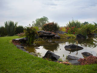 Casa DFC, Paisare - Paisajismo y arquitectura Paisare - Paisajismo y arquitectura Garden Pond