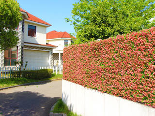 Uland outdoor artificial hedge, Ulandhedge Ulandhedge 클래식스타일 벽지 & 바닥 플라스틱