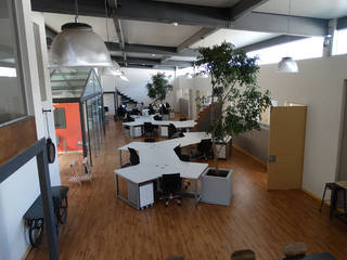 Oficinas Knotion, Office&Design SA de CV Office&Design SA de CV Industrial style study/office