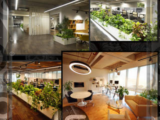 Biesterfeld Türkiye, LS DESIGN ARCHITECTURE LS DESIGN ARCHITECTURE Ticari alanlar