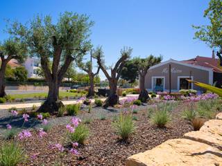 Jardíssimo - Taroca, Lagoa, Jardíssimo Jardíssimo Moderne tuinen