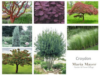 Croydon, Grã Bretanha, Maria Mayer | Interior & Landscape Design Maria Mayer | Interior & Landscape Design