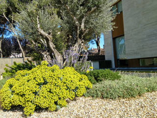 Jardín mediterráneo, Irati Proyectos Irati Proyectos Mediterranean style garden