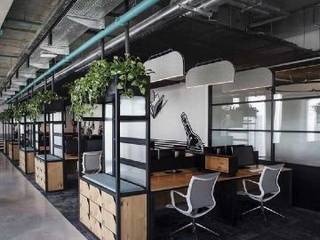 COWORKING , Proyectos.7inter Proyectos.7inter Commercial spaces Wood Wood effect