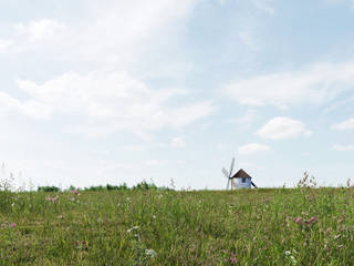 Visualization. Field., Aleksandra Kostyuchkova Aleksandra Kostyuchkova Klassieke tuinen