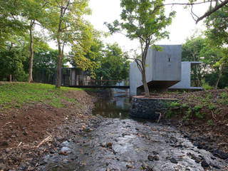 House on a Stream, Architecture BRIO Architecture BRIO 트로피컬 정원