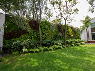 Muro Verde Natural, San Angel Inn, Generación Verde Generación Verde Jardines de estilo moderno