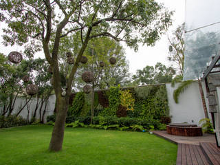 Muro Verde Natural, San Angel Inn, Generación Verde Generación Verde Jardines de estilo moderno