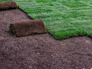 10 Reasons that You Ought To Try to find Sod Near Me, Cricasia Cricasia
