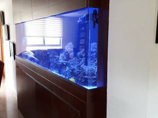 Aquario Marino para Sala de Estar, Alfquarium Alfquarium غرفة المعيشة الخشب البلاستيك المركب