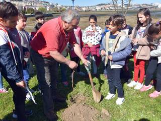 Día del árbol, JardinCelas JardinCelas Ön avlu Ahşap Ahşap rengi