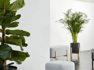 ASHI - poufs, mesitas e hidrojardineras de diseño, Hobby Flower Hobby Flower Interior landscaping Wood Grey