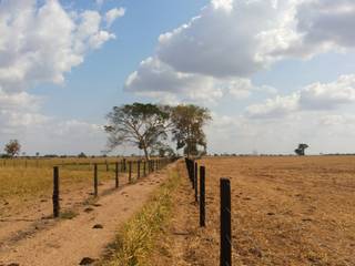 Grandes Fazendas a Venda Em Goias - SILVANO REIS IMÓVEIS (62) 98182-4401 (WhatsApp)/(62) 99366-8506, SILVANO REIS IMÓVEIS RURAIS SILVANO REIS IMÓVEIS RURAIS