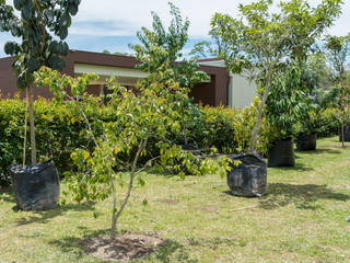 Diseño Bosque Nativo Cliente Llanogrande - Antioquia, TERRA Prados y jardines TERRA Prados y jardines Vườn phong cách đồng quê