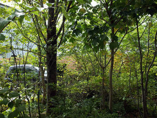 清本町の家, 小椋造園 小椋造園 Giardino minimalista