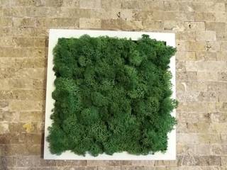 Sustainable moss art by reinist, Reinist / Reinistanbul Reinist / Reinistanbul Rumah Gaya Skandinavia