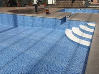 Geomembranas para albercas , QUIMIAPOOL QUIMIAPOOL 庭池 プラスティック