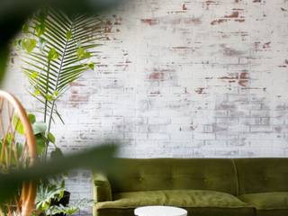 2BHK Project Colaba, Rebel Designs Rebel Designs Minimalist living room Plywood Green