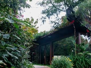 Veranda , Jardan Estudio de Paisajismo Jardan Estudio de Paisajismo Giardino moderno