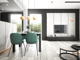 PIĘKNA WNĘTRZA, NA NO WO ARCHITEKCI NA NO WO ARCHITEKCI Modern Living Room