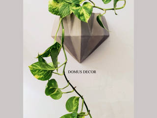 DOMUS DECOR