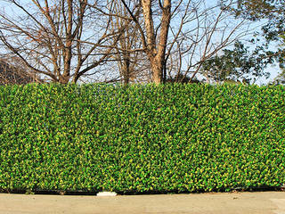 Uland Artificial Hedge Mat, Sunwing Industrial Co., Ltd. Sunwing Industrial Co., Ltd. Walls Plastic