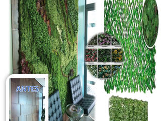 Green Wall, Renovando espacios Crea-Transforma-Diseña Renovando espacios Crea-Transforma-Diseña