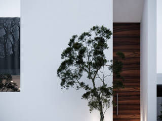 Maravilloso Proyecto - Casa Madero , CIC ARQUITECTOS CIC ARQUITECTOS Minimalist house