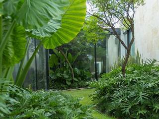 Casa H • Arquitectura paisajista // Proyecto Residencial SPGG, Canelo exteriores Canelo exteriores Front garden Green