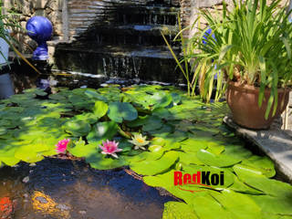 Estanque koi con cascada natural y plantas acuaticas, Redkoi Redkoi Mediterranean style garden