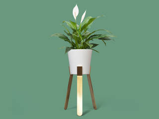 Syml Brass Plant Stand, Jam Furniture Jam Furniture Сад в стиле модерн Медь / Бронза / Латунь